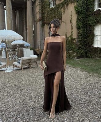 Daylily in dark brown